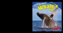 A Whale's Life - eBook