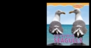 Discovering Seagulls - eBook