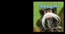 Tamarins - eBook