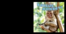 Rhesus Monkeys - eBook