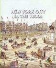 New York City in the 1800s - eBook