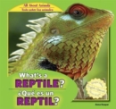 What's a Reptile? /  Que es un reptil? - eBook