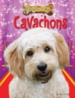 Cavachons - eBook