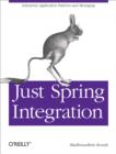 Just Spring Integration : A Lightweight Introduction to Spring Integration - eBook
