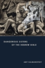 Dangerous Sisters of the Hebrew Bible - Book