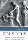 Iesus Deus : The Early Christian Depiction of Jesus as a Mediterranean God - Book