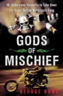 Gods of Mischief : My Undercover Vendetta to Take Down the Vagos Outlaw Motorcycle Gang - eBook
