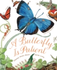 A Butterfly Is Patient - Book