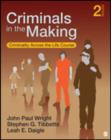 Criminals in the Making : Criminality Across the Life Course - Book