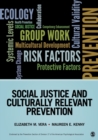 Social Justice and Culturally Relevant Prevention - Book