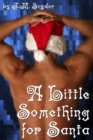 A Little Something for Santa - eBook