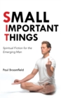 Small Important Things : Spiritual Fiction for the Emerging Man - eBook