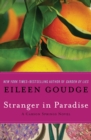 Stranger in Paradise - eBook