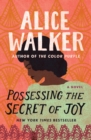 Possessing the Secret of Joy - eBook