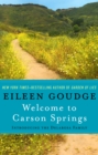 Welcome to Carson Springs : Introducing the Delarosa Family - eBook