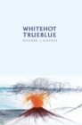 White Hot-True Blue : Psychological Parables, Narratives, and Eye-Witness Accounts - eBook