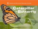Caterpillar to Butterfly - Book