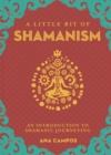 Little Bit of Shamanism, A : An Introduction to Shamanic Journeying - Book