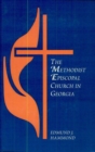 The Methodist Episcopal Church in Georgia - eBook