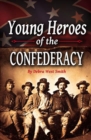 Young Heroes of the Confederacy - eBook