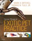 Current Therapy in Exotic Pet Practice - Book