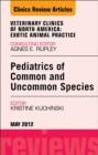 Pediatrics of Common and Uncommon Species, An Issue of Veterinary Clinics: Exotic Animal Practice - eBook