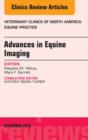 Advances in Equine Imaging, An Issue of Veterinary Clinics: Equine Practice - eBook