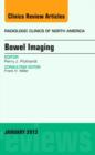 Bowel Imaging, An Issue of Radiologic Clinics of North America : Volume 51-1 - Book