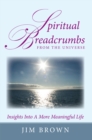 Spiritual Breadcrumbs from the Universe : Insights into a More Meaningful Life - eBook