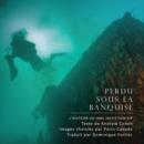 Perdu sous la banquise : Parcs Canada decouvre le HMS Investigator - eBook