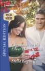 Christmas on the Silver Horn Ranch - eBook