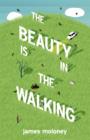 The Beauty is in the Walking - eBook
