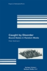 Caught by Disorder : Bound States in Random Media - eBook