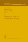 Dynamical Issues in Combustion Theory - eBook