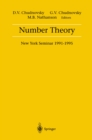 Number Theory : New York Seminar 1991-1995 - eBook