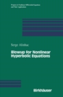 Blowup for Nonlinear Hyperbolic Equations - eBook