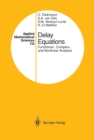 Delay Equations : Functional-, Complex-, and Nonlinear Analysis - eBook
