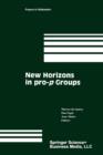 New Horizons in Pro-p Groups - Book