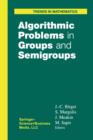 Algorithmic Problems in Groups and Semigroups - Book