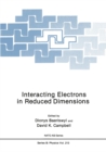 Interacting Electrons in Reduced Dimensions - eBook