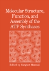 Molecular Structure, Function, and Assembly of the ATP Synthases : International Seminar - eBook