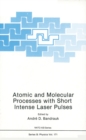 Atomic and Molecular Processes with Short Intense Laser Pulses - eBook