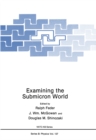 Examining the Submicron World - eBook