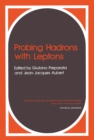 Probing Hadrons with Leptons - eBook