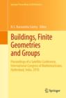 Buildings, Finite Geometries and Groups : Proceedings of a Satellite Conference, International Congress of Mathematicians, Hyderabad, India, 2010 - eBook