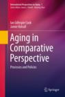 Aging in Comparative Perspective : Processes and Policies - eBook