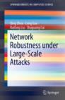 Network Robustness under Large-Scale Attacks - eBook