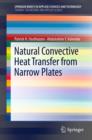 Natural Convective Heat Transfer from Narrow Plates - eBook