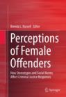 Perceptions of Female Offenders : How Stereotypes and Social Norms Affect Criminal Justice Responses - eBook