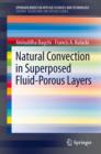 Natural Convection in Superposed Fluid-Porous Layers - eBook